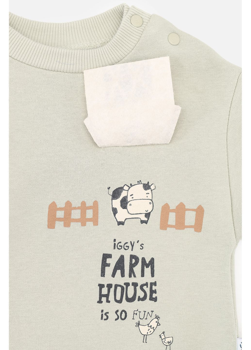 Оливковый зимний костюм с брюками для мальчика цвет оливковый цб-00283903 Iggy