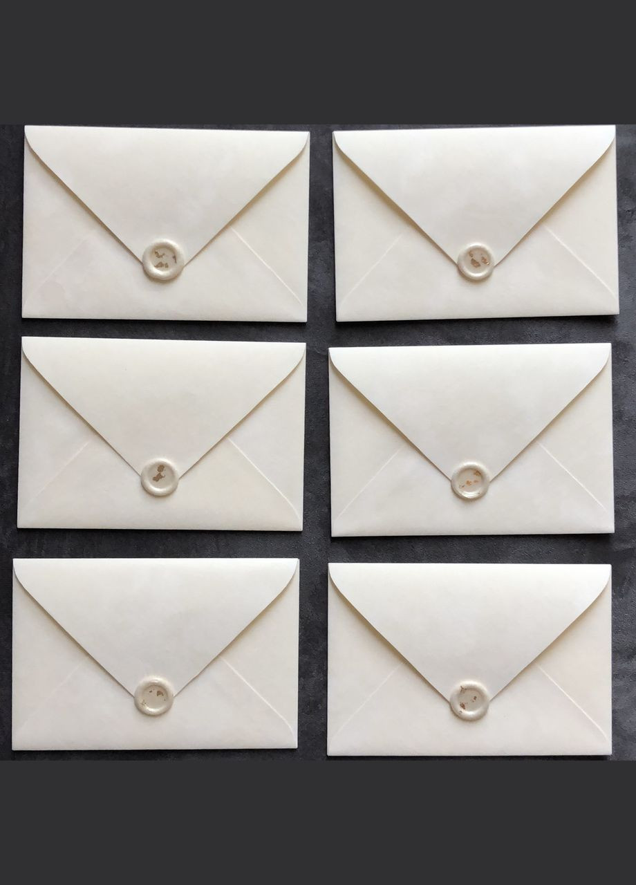 Картка з запрошенням на весілля та оксамитовим конвертом. No Brand (359398355)