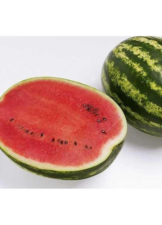 Насіння кавуна Top Gun F1 1000 шт (2747825330) Syngenta (362135260)