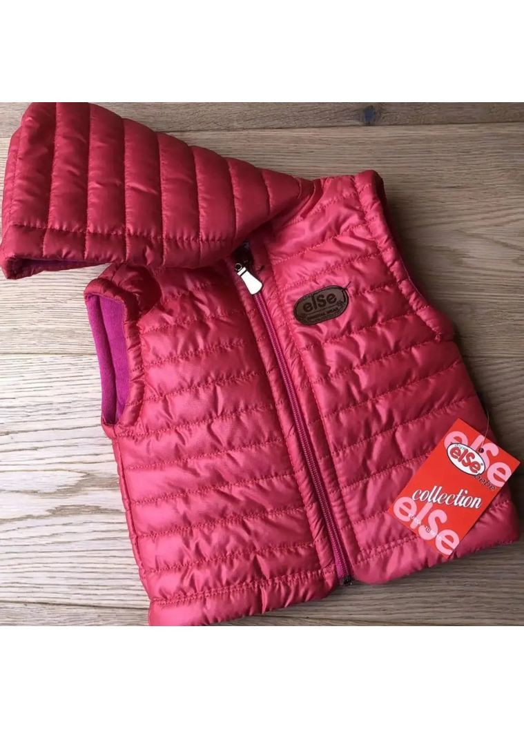 Детский утепленный жилет для девочки с капюшоном синтепон. Else (363553246)