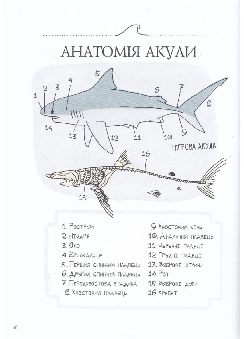Анатомия океана. Невероятные места и части света, скрытые под водой Читаріум (370060701)