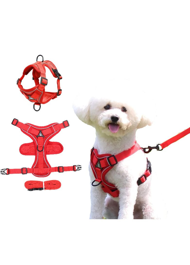 Шлейка та повідець для собак і кішок No Brand (362136173)