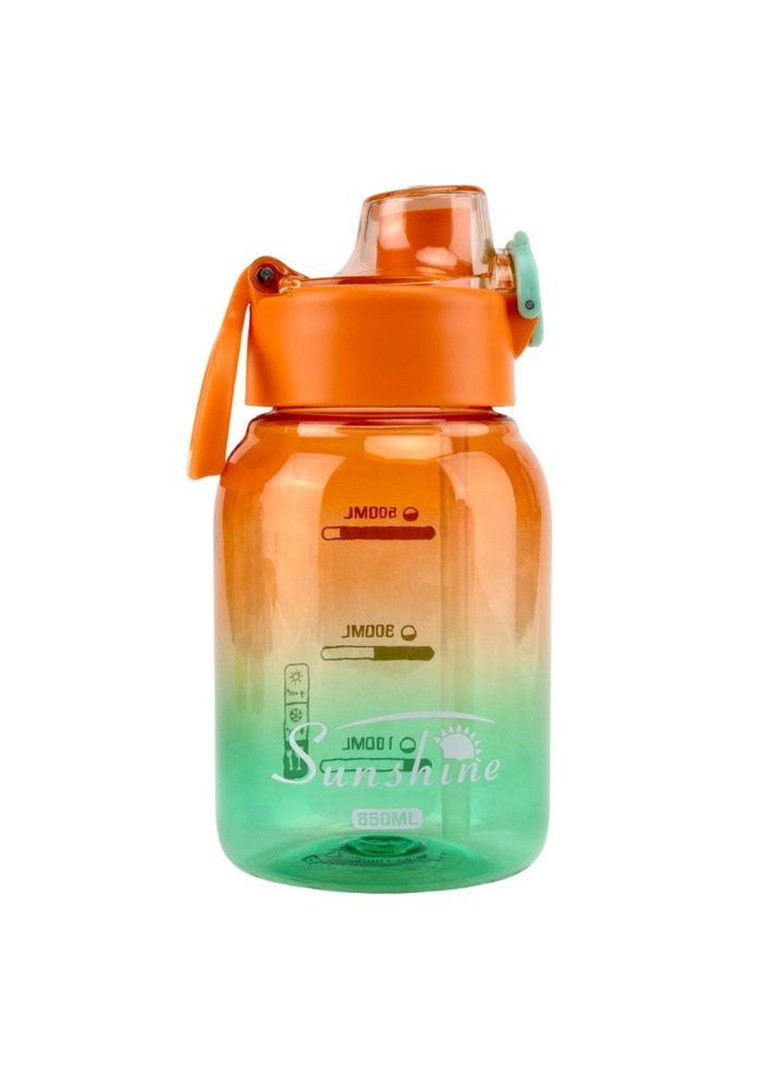 Бутылка для спорта Sunshine 650 мл 18 см 19212-005 оранжевий No Brand (346152507)