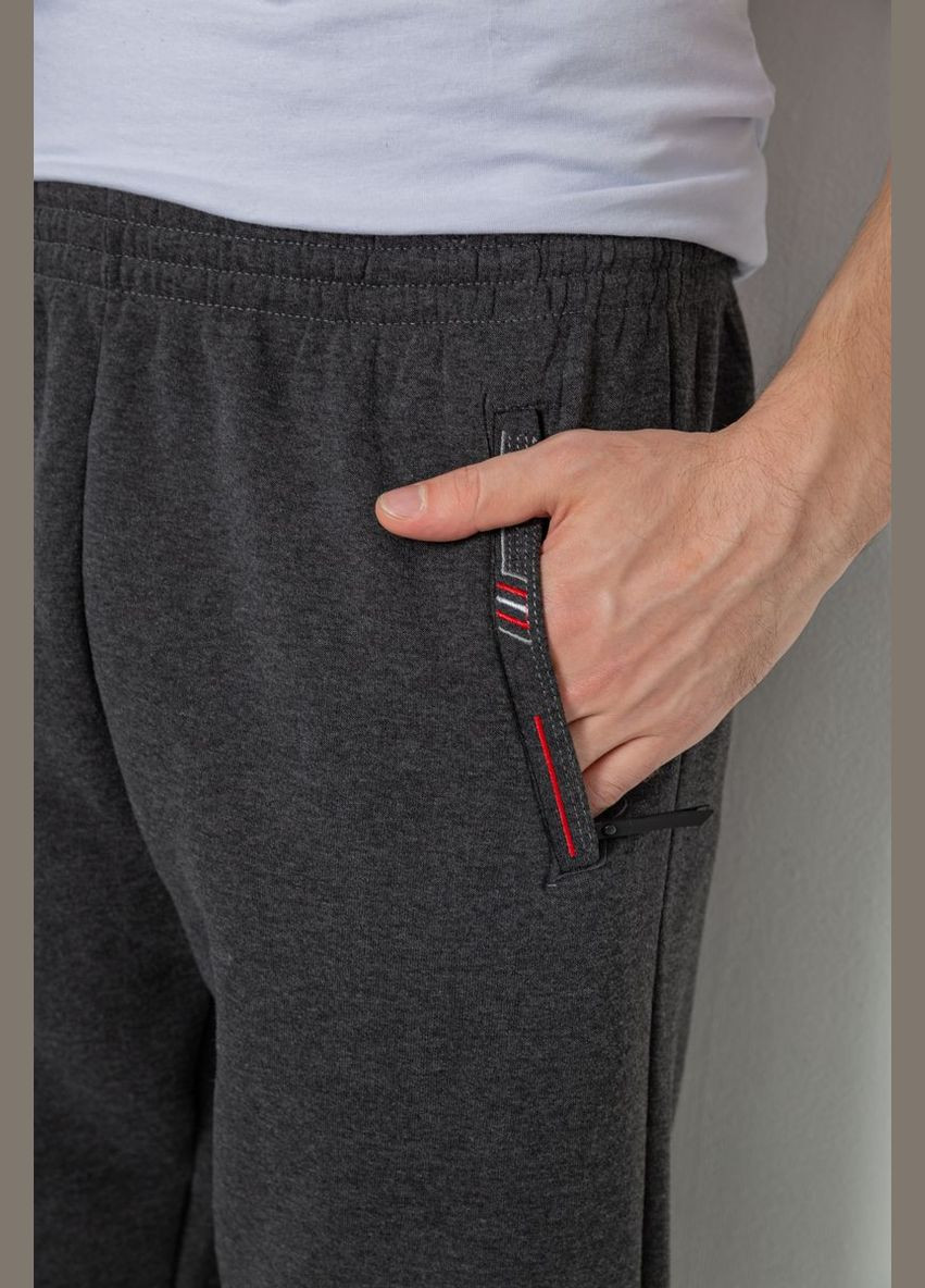 Спорт чоловічі штани на флісі Ager 244R41309 (304502898)