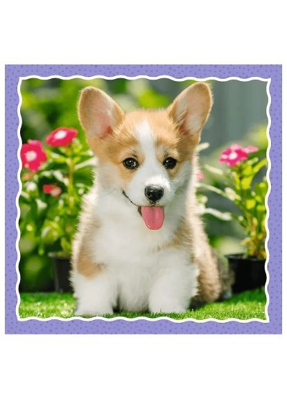 Пазл (5900511348545) Trefl Милі собаки 3 in1 (366156082)