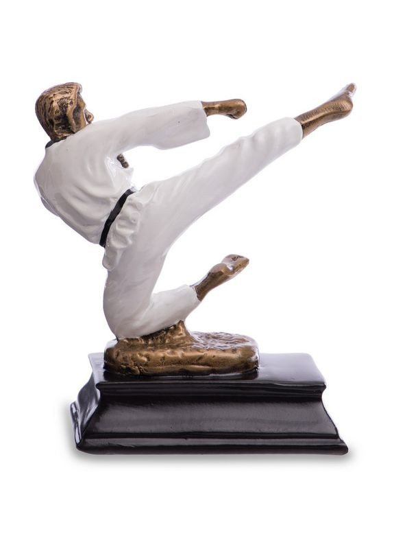 Статуетка (фігурка) спортивна нагородна Карате Каратистка SP-HX1836-B8 (р-р 10х5х12см) (HX1836-B8) SP-Sport (354703902)