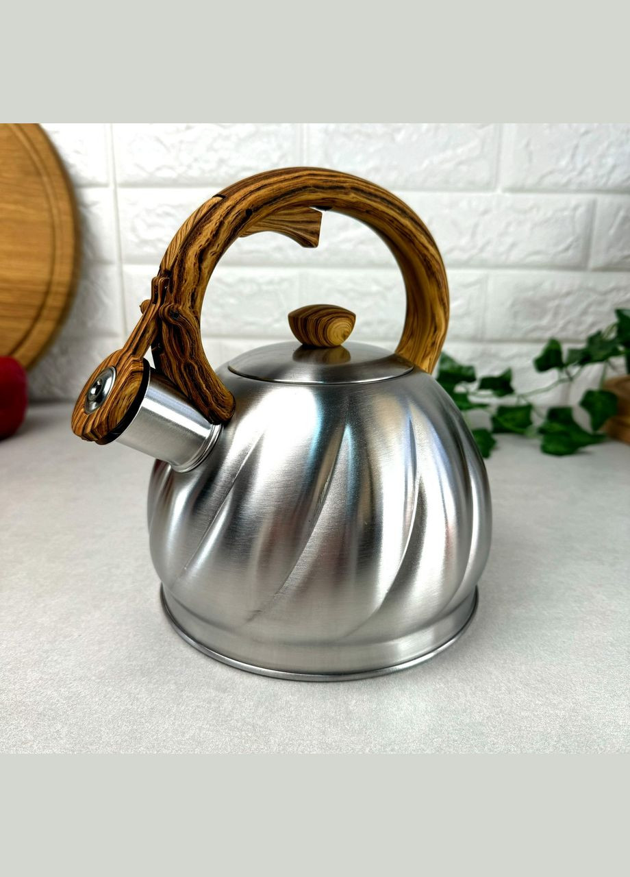 Чайник зі свистком 2 л з нержавіючої сталі для індукції A-Plus (304546851)