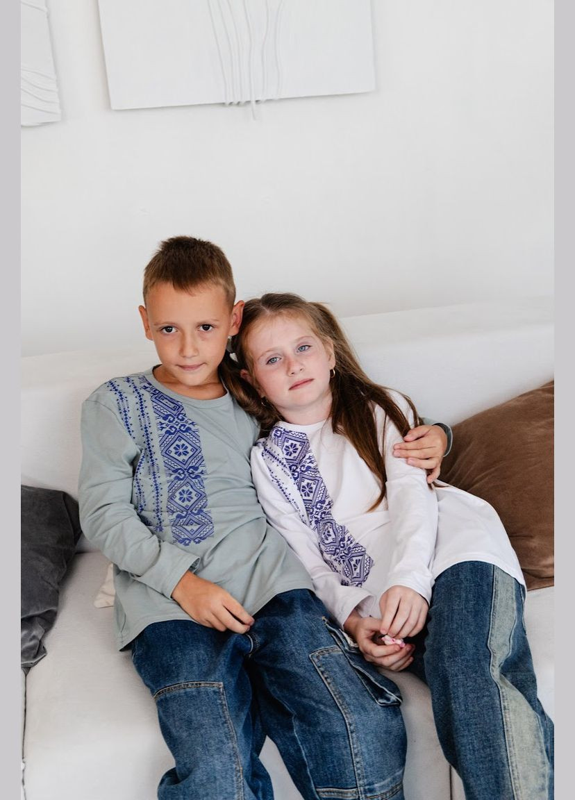 Сіра джемпер для хлопчика з принтом-вишивкою прямого крою hc (h001-6363-1) (302447877)