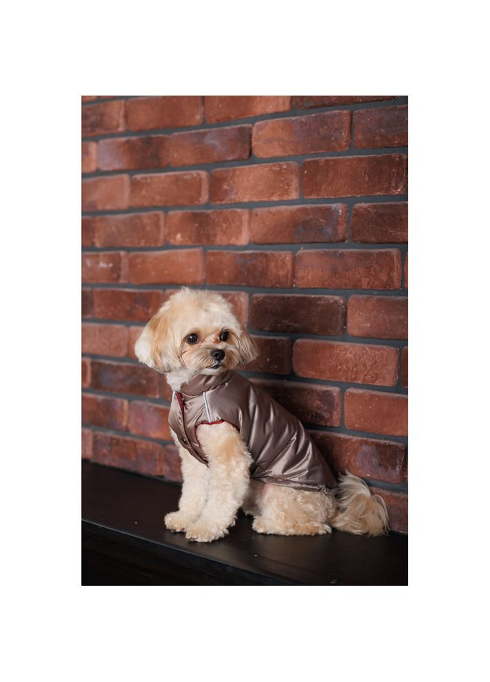 Жилет Hardy М для собак Pet Fashion (372505141)