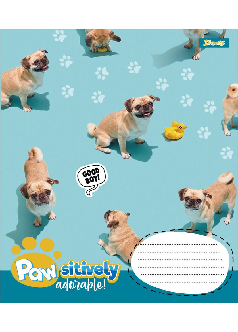 Набор тетрадей школьных 1Bересня А5/12 линия Pawsitively 25 шт (768236) 1 Вересня (352167292)