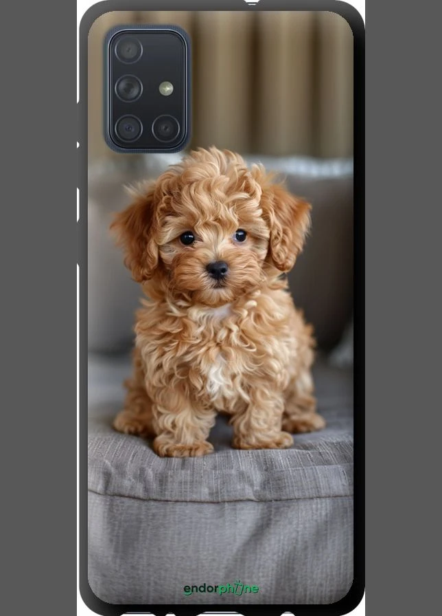 Чохол на Samsung Galaxy A71 2020 A715F Mini-maltipoo "6158b-1826-70447" Endorphone (373899688)