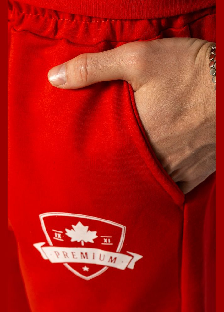 Бриджи Premium (Красный) Time of Style (313101592)