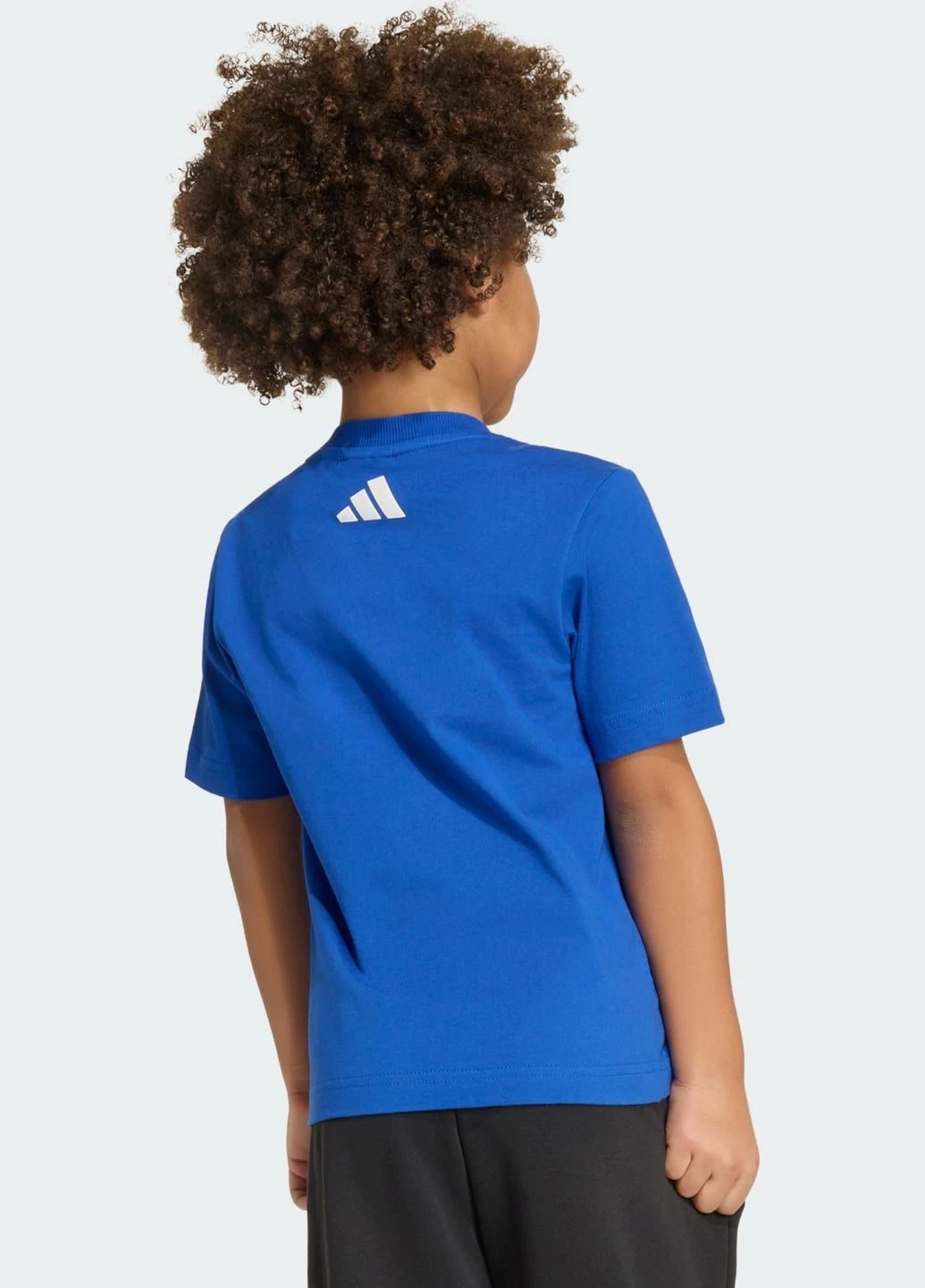 Синя демісезонна футболка minecraft adidas