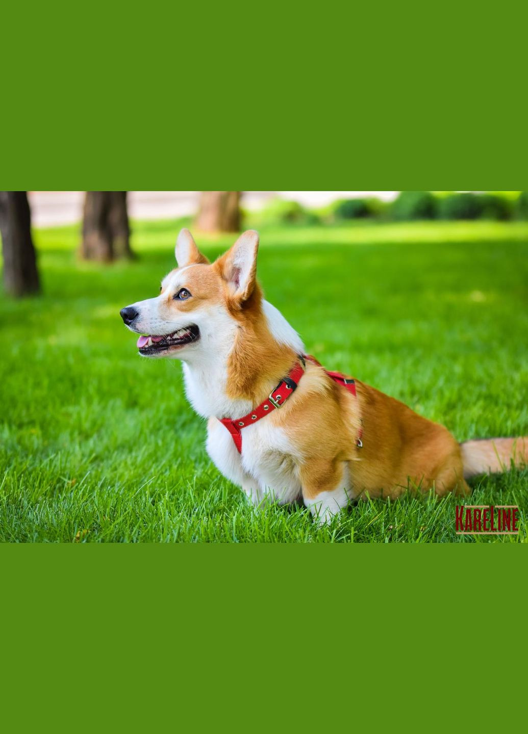 Шлей из брезента 20 мм А:420-520 мм, В:570-670 мм Kareline (339075028)