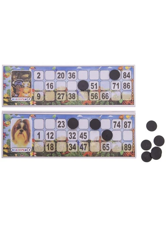 Лото настольная игра в прозрачном чехле IG-8802 (IG-8802) SP-Sport (354703946)