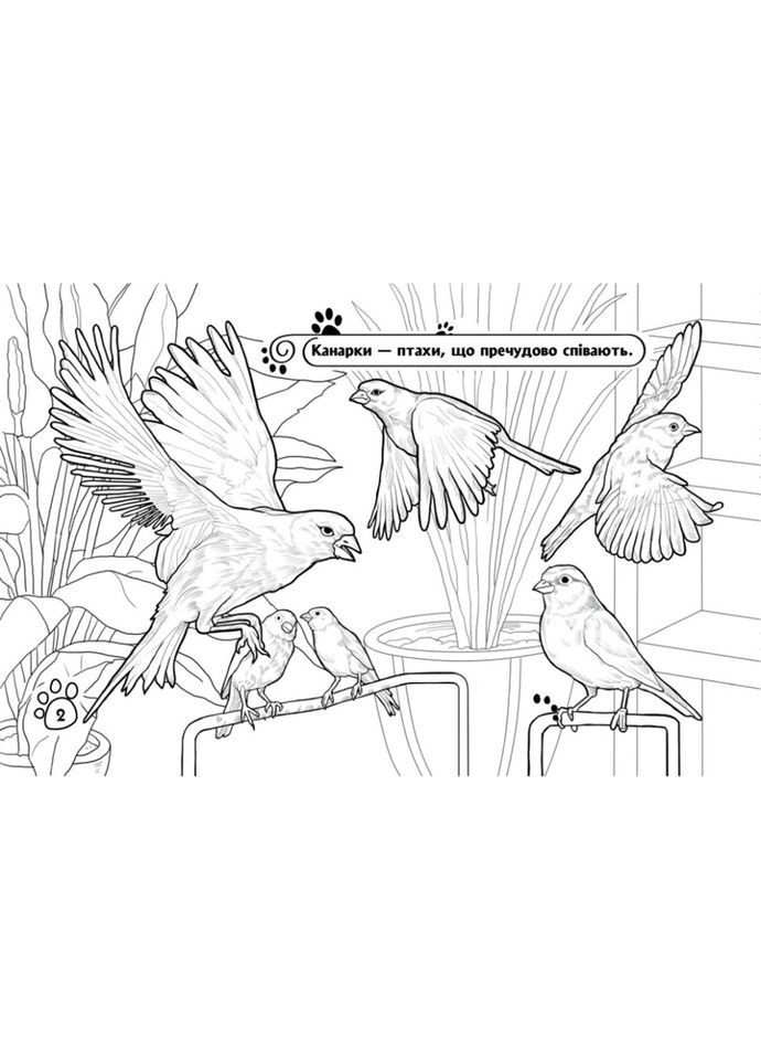 Дитяча розмальовка "Тварини у домі" 583010, 16 сторінок Ranok Creative (334147019)
