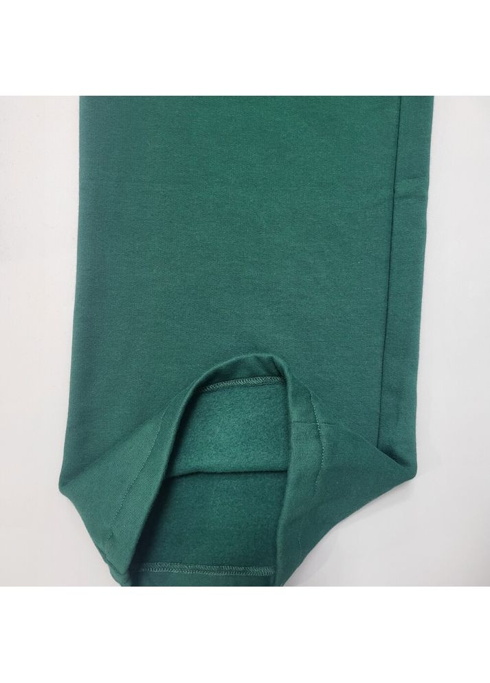 Спортивні штани утеплені 0264/301 Zara (370205266)