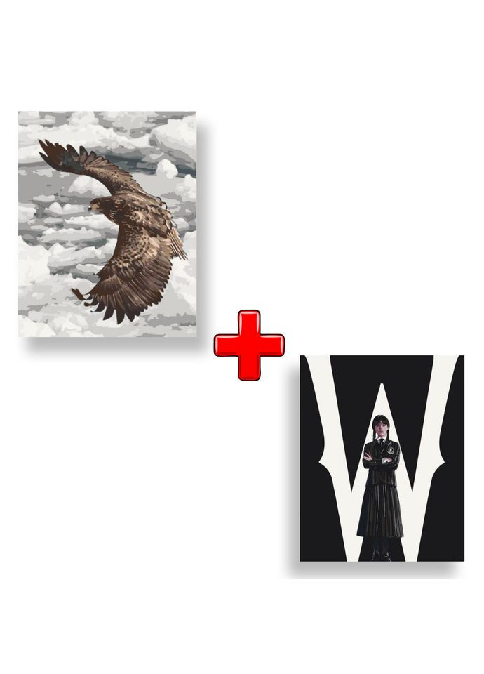 Набір картин за номерами 2 в 1 "Велич польоту" 40х50 11507-AC та "Венздей" 40х50 10405-AC Art Craft (315154105)