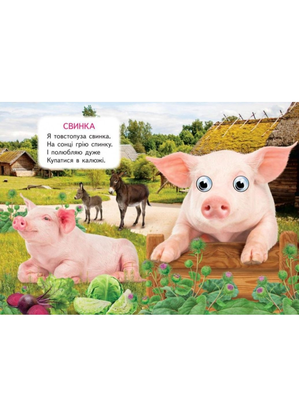 Цікаві книжки з оченятами «Ферма» Віршики для малечі у картонному форматі (9786178405694) Пегас (327879048)