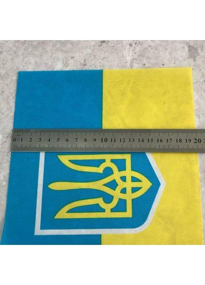 Прапор України з тризубом, 20х28 см з присоскою Plus-plus (354797207)