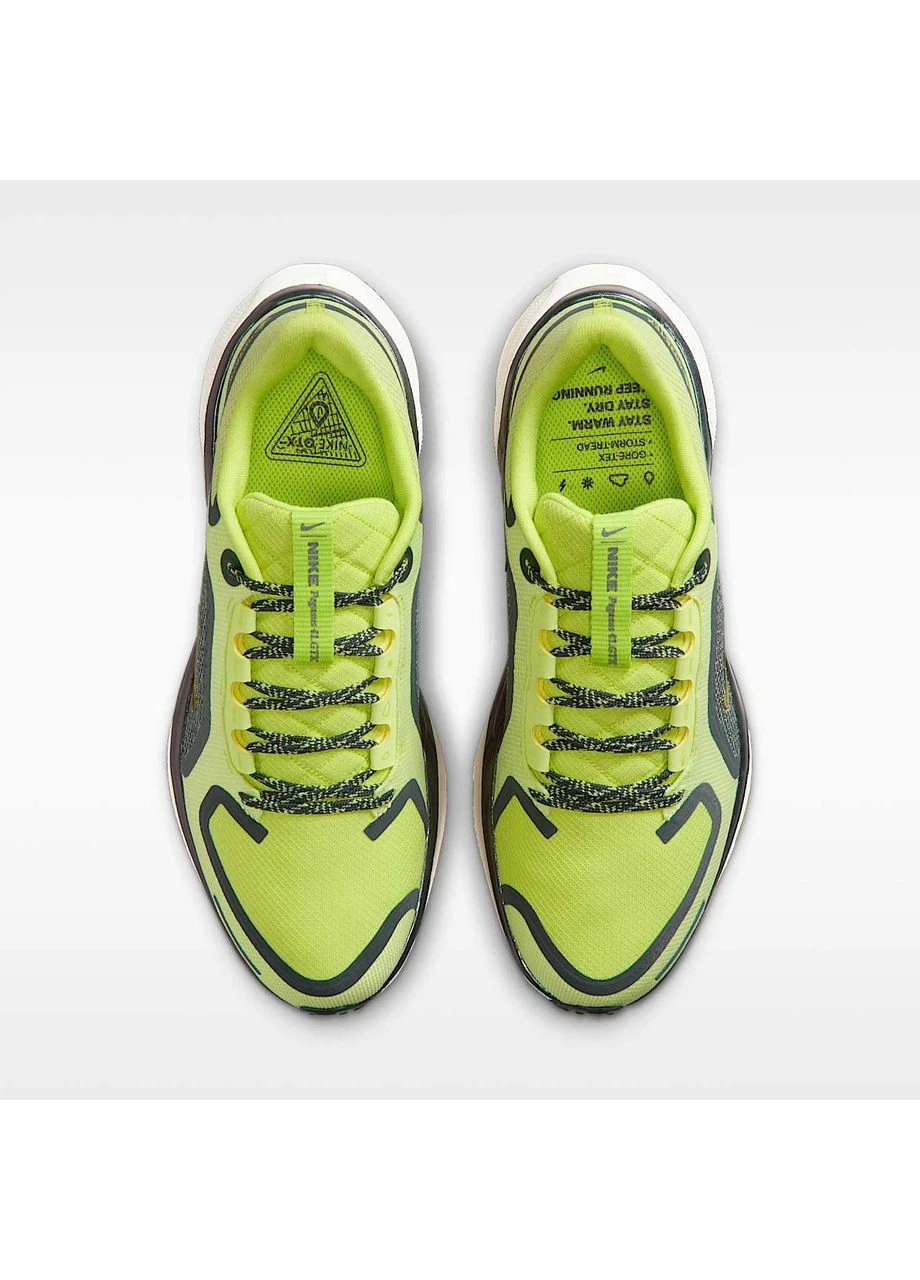 Кроссовки Pegasus 41 Gore Tex Green FQ1357-300 Nike зелёные демисезоны (399401742)