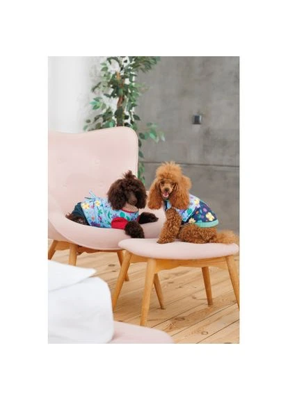 Костюм Alisa для девочки размер (*) Pet Fashion (323154135)