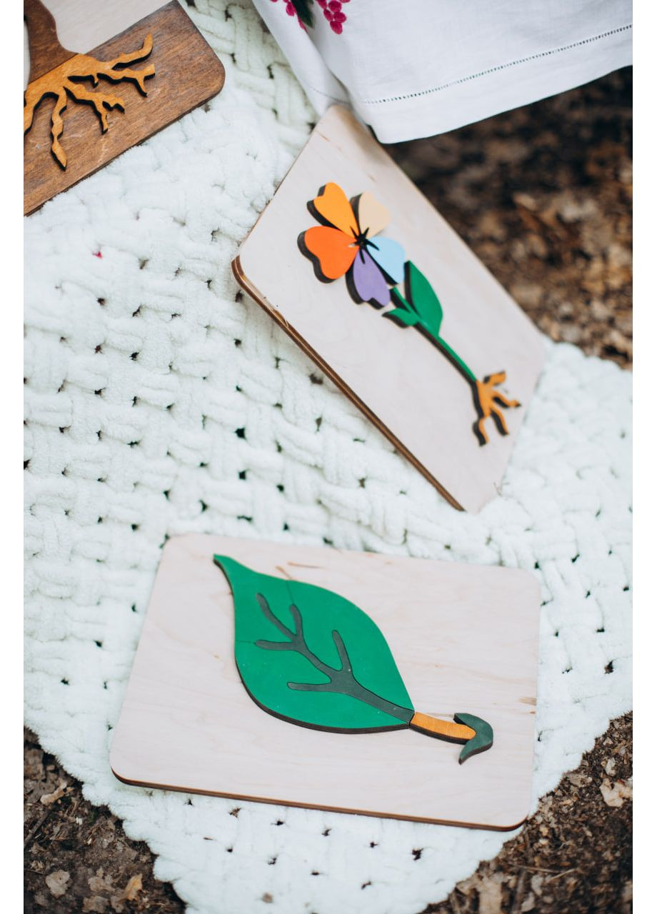 Монтессорі пазл - Квітка для вичення будови, англійською мовою WittleWood (369725335)