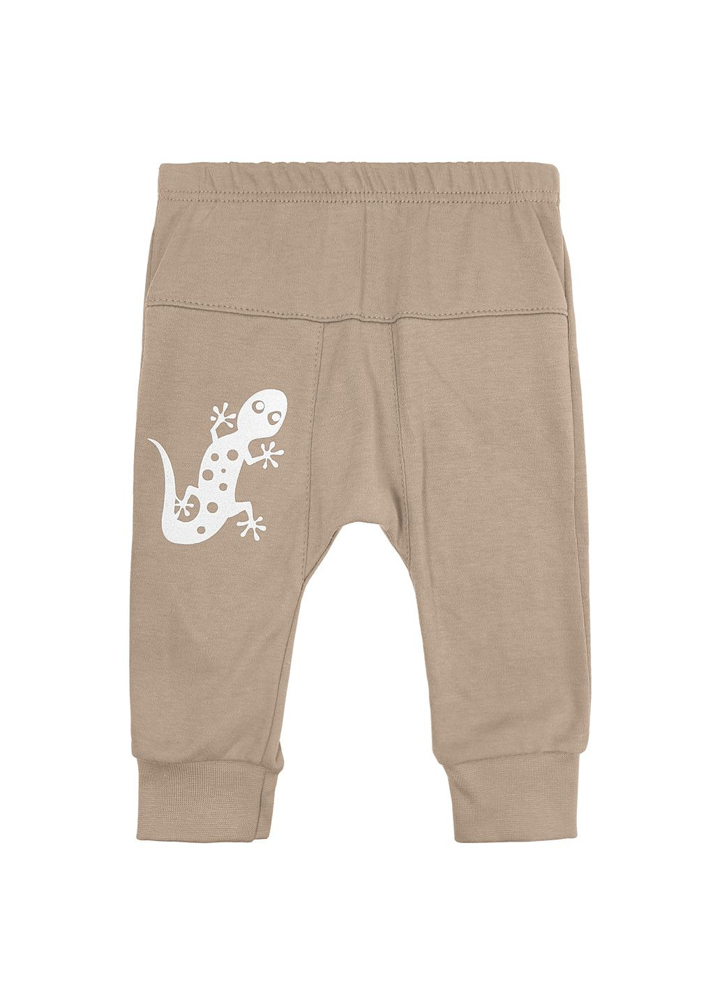 Трикотажні дитячі сірі штани із принтом Геккон Сірий dexter's (279760782)