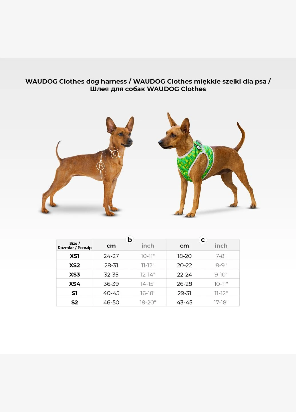 Шлея для собак м'яка Clothes з QR паспортом, малюнок "NASA",, В 28-31 см, С 20-22 см WAUDOG (396625198)