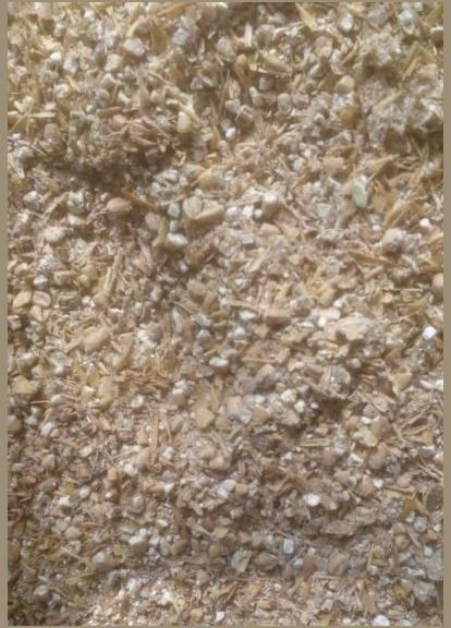 Опенок луговой 10 г Насіння країни (328607012)