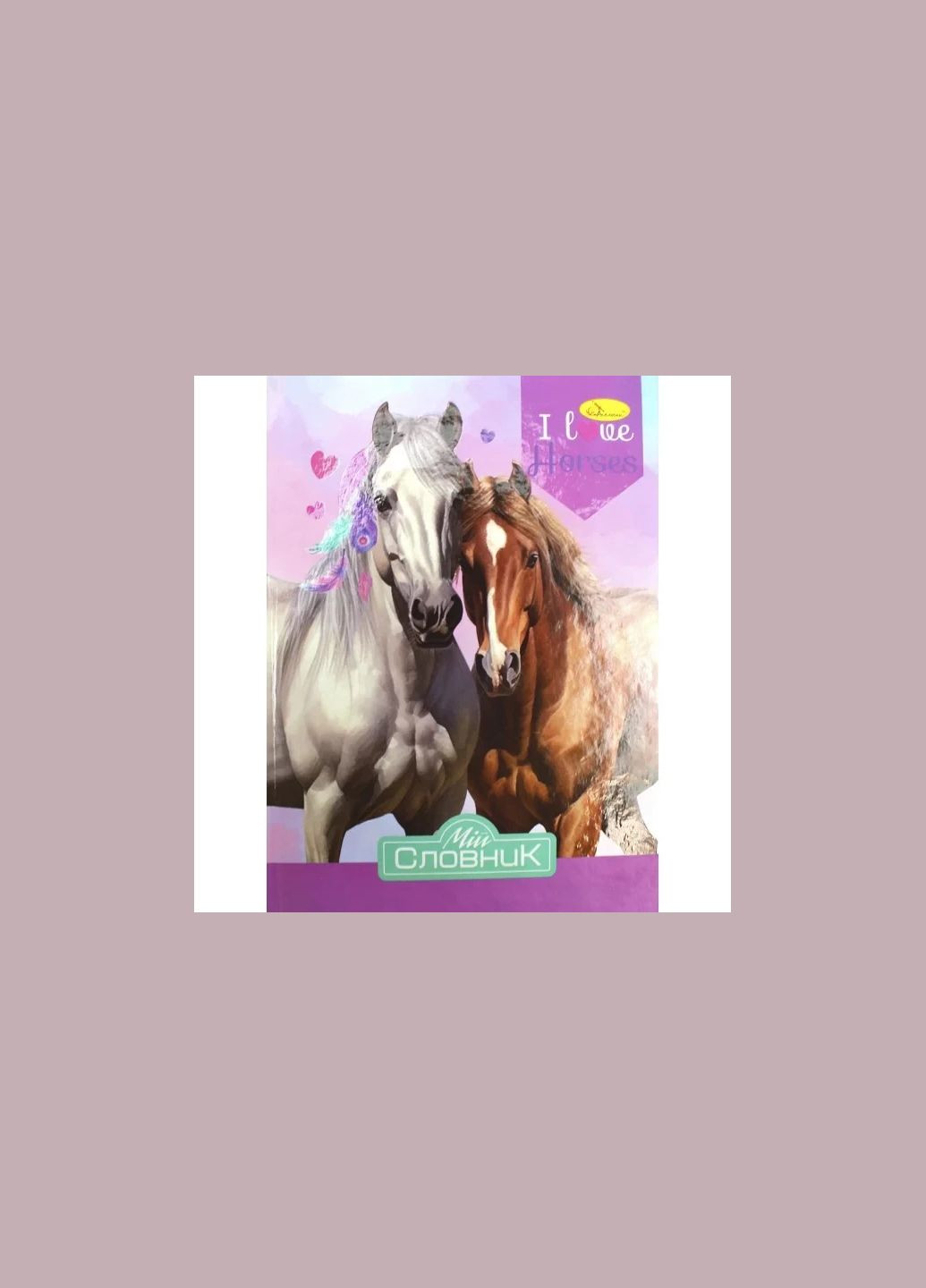 Зошит Словник з іноземної мови B5 96арк. супер АП-0503/Апельсин/ No Brand (334725945)