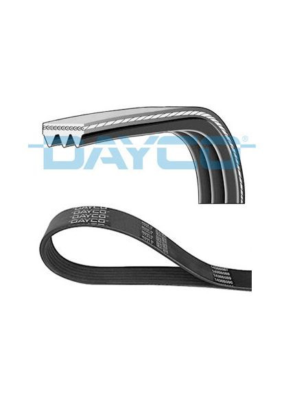 Ремень поликлиновый FORD ESCOR/FIESTA/ORION 1.8D 1989-1996/HYUNDAI COUPE/ELANTRA/TUCSON 2.0 2000-/KIA C 3PK675 Dayco (360492945)