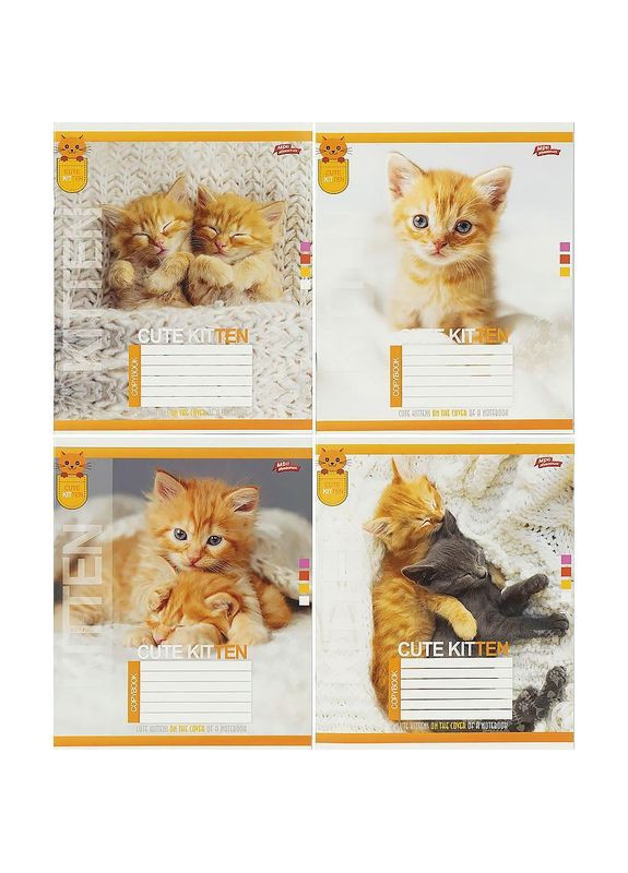 Тетрадь 24 л. клеточка "МЕЧТЫ" / Cute Kitten Мрії Збуваються (351904428)