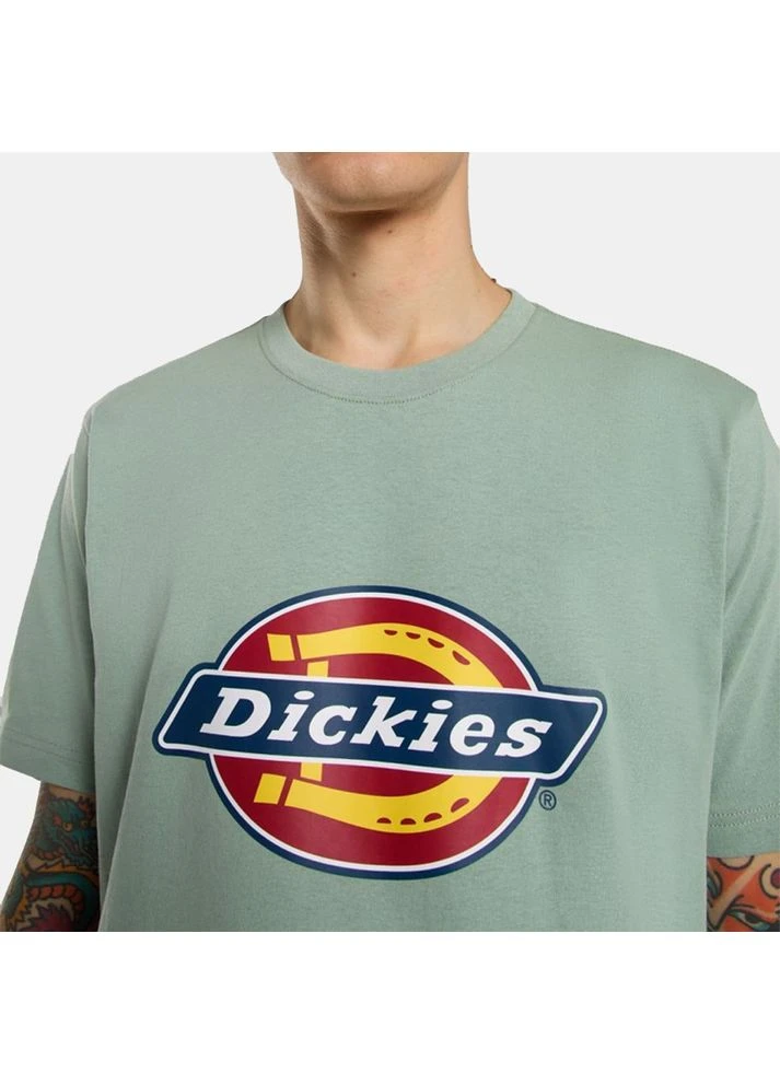 Футболка Icon Logo Turquoise DK0A4XC9K361 Dickies (399367840)