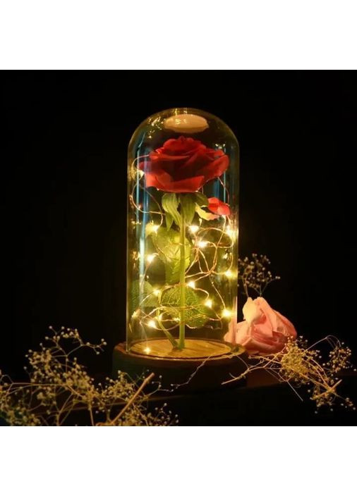 Троянда в колбі з LED підсвічуванням Digital (364506892)