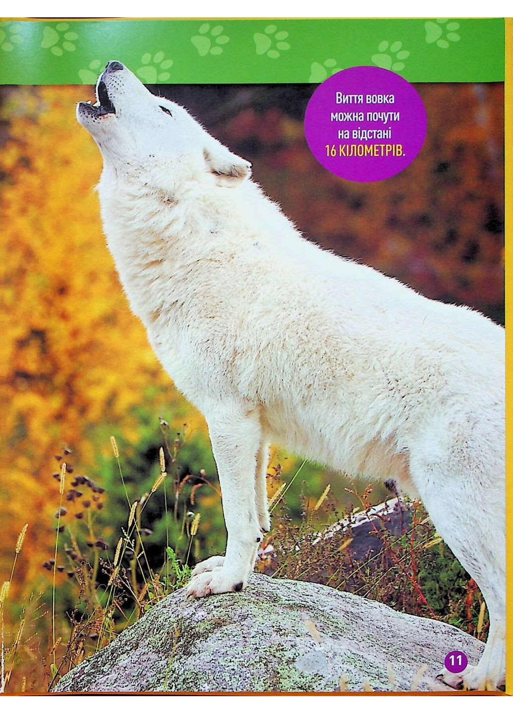 Гав! 100 интересных фактов о собаках Видавництво "Егмонт Україна" (370151940)