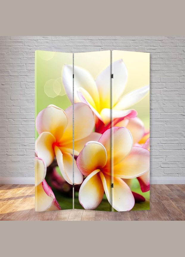 Ширма "Магнолія" см Україна (322420662)