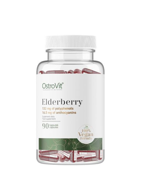 Elderberry 90 Caps Ostrovit (278761800)