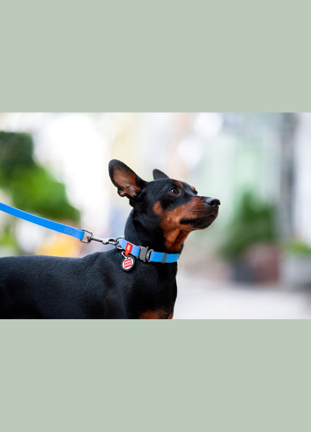 Нашийник для собак водостійкий Waterproof Металева пряжка-фастекс Ш 25 мм Д 35-58 см Блакитний WAUDOG (322328340)