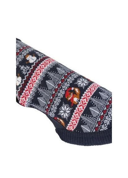 Одяг для собачки хс Zoofari (362207562)