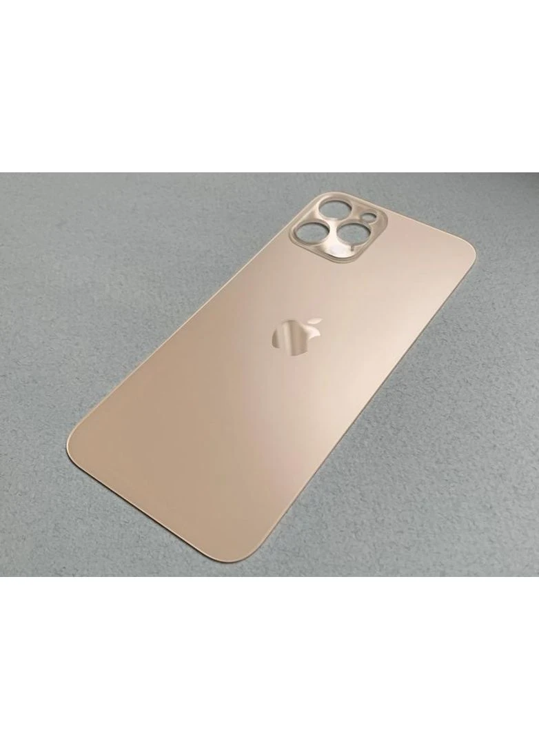Заднє скло корпусу для iPhone 12 Pro золотє зі склом камери Apple (322707468)