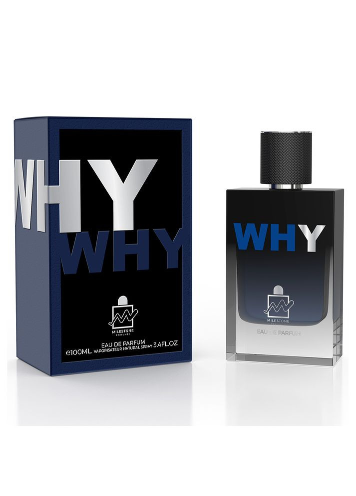 Парфюмированная вода мужская Why - 100 мл Milestone (304611179)