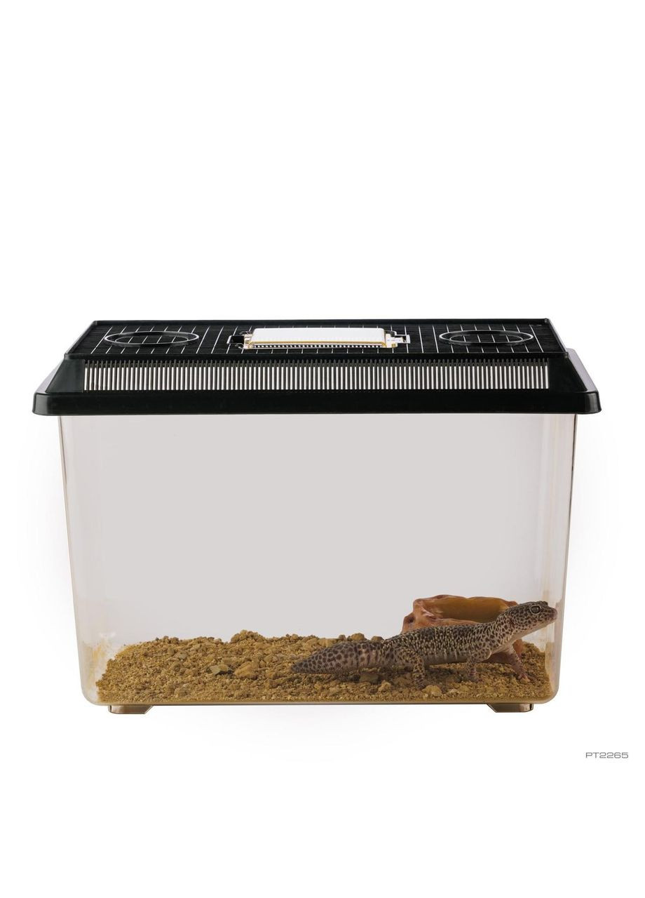 Фаунариум Exo Terra для транспортировки и содержания животных, пластиковый 37 x 22 x 25 см Exo-terra (365592985)