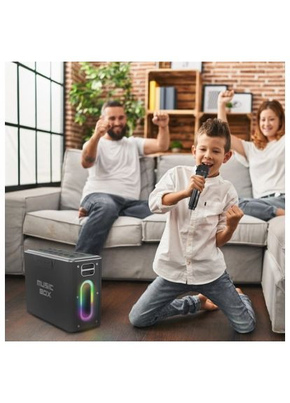 Акустическая система (musicbox.silver) HiFuture MusicBox 100W Silver (366154590)