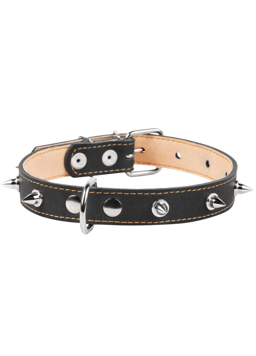 Нашийник подвійний з шипами 25мм/38-50см Чорний Collar (279563109)