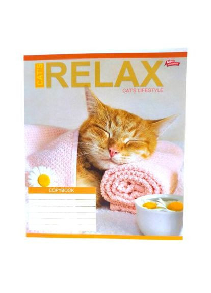 Тетрадь цветная 24 листа Мечты Сбываются 16 штук в упаковке для школы ProDobro (367092912)