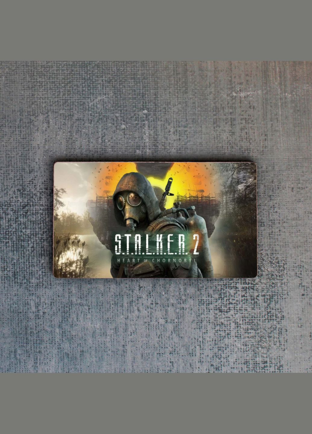 Металлический магнит Сталкер No Brand (322053737)