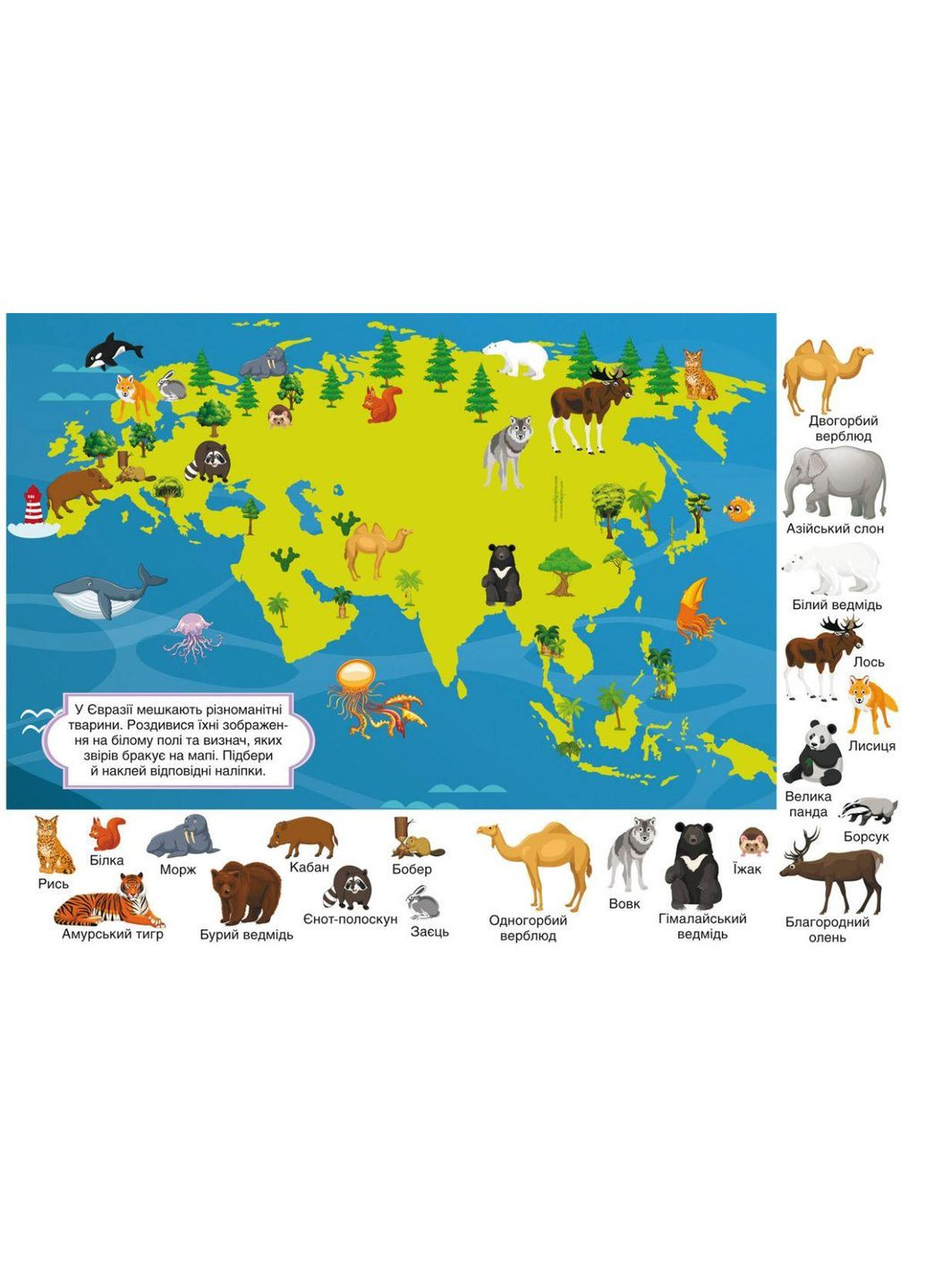 Книга детская раскраска "Первые развивающие наклейки. Животные" Crystal Book (F00024551) No Brand (369733470)