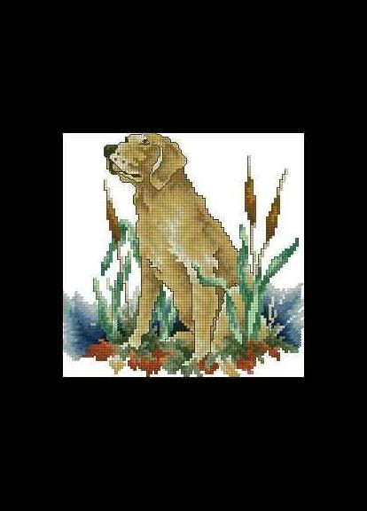 Набор для вышивки крестиком. Размер: 15*15 см. Золотой лабрадор. Лоскуток (315359108)