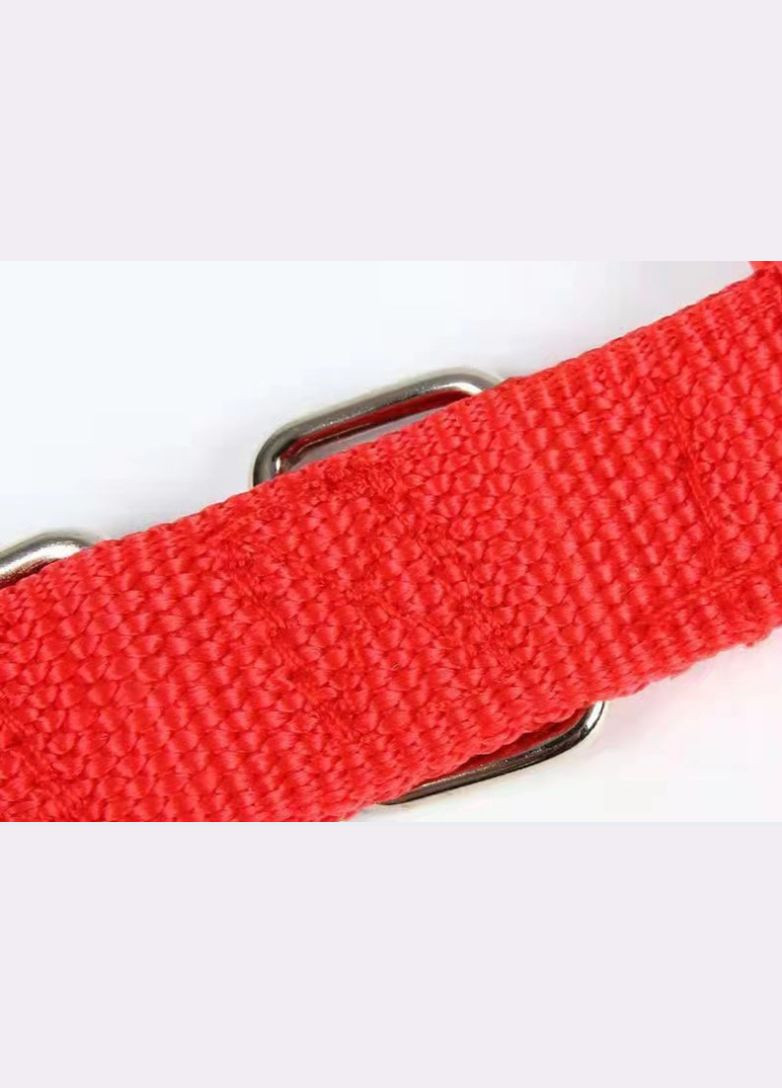 Ошейник для котов и кошек Pet Style "Классический" Красный 4251 см No Brand - (323233135)